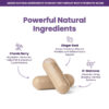 Healthy Box Probiotics for pH, Odor, Pms Relief & Uti Prevention